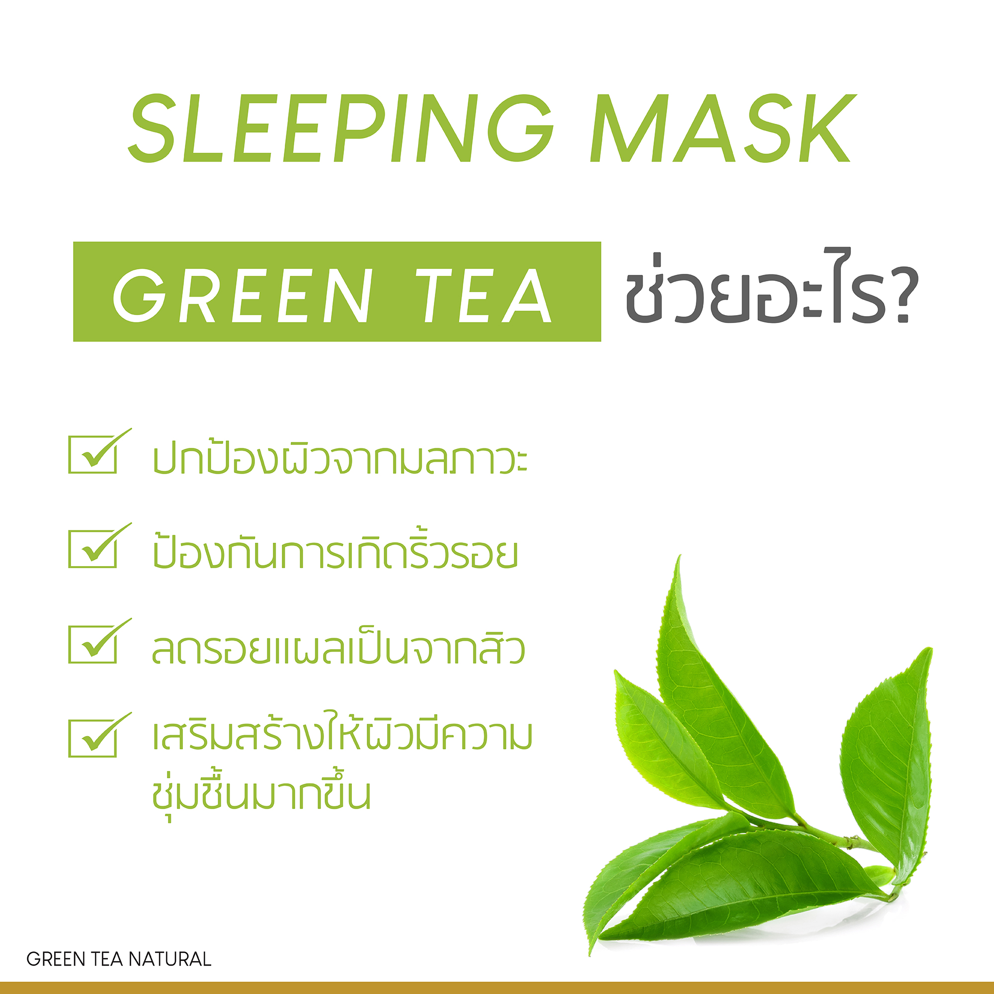 Green Tree Sleeping Mask 50g มาส์ชาเขียว ดีท็อกผิวข้ามคืน ชะล้างสิ่งสกปรกตกค้าง ฟื้นคืนผิวให้มีสุขภาพดี